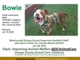 No Kill Shelter Alliance – Facebook | Twitter: @NoKillShelterCA email: nokillshelterca@gmail.com
1
Meeting with Orange County Supervisor Bartlett & Staff*
plus Steve Franks, Dr. Jennifer Hawkins (OCAC)
Jan 28, 2016
Topic: Improving Animal Welfare @OCAnimalCare
Orange County Animal Care, California
* Paul Walters, Chief of Staff, 5th District | Tanya Flink, Office Manager/Scheduler
Bowie
OCAC euthanasia
listed
“APC-BHV unable to
examine - not safe”,
also “could not leash”
Rescued
Jan 19, 2016
 