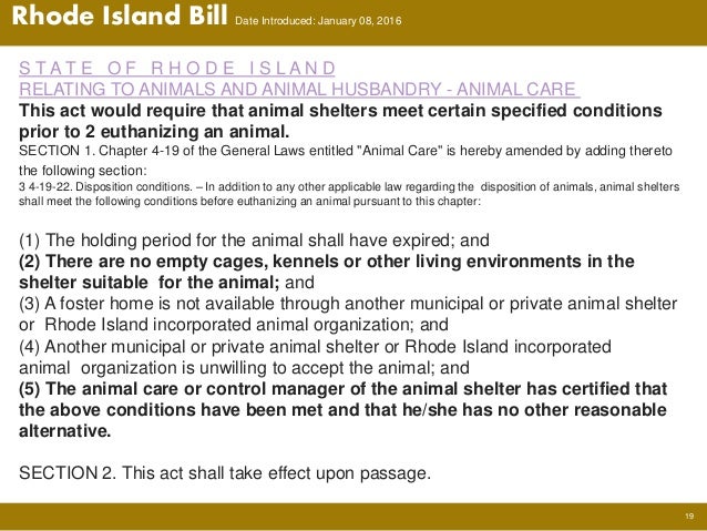 Kill Shelters In Rhode Island Kill Shelters In Rhode Island