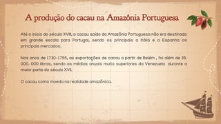 A produção do cacau na Amazônia Portuguesa
Até o inicio do século XVIII, o cacau saído da Amazônia Portuguesa não era destinado
em grande escala para Portugal, sendo os principais a Itália e a Espanha os
principais mercados.
Nos anos de 1730-1755, as exportações de cacau a partir de Belém , foi além de 35.
000. 000 libras, sendo as médias anuais muito superiores da Venezuela durante a
maior parte do século XVII.
O cacau como moeda na realidade amazônica.
 