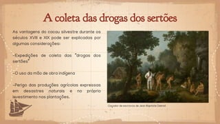 A coleta das drogas dos sertões
As vantagens do cacau silvestre durante os
séculos XVIII e XIX pode ser explicadas por
algumas considerações:
-Expedições de coleta das “drogas dos
sertões”
-O uso da mão de obra indígena
-Perigo das produções agrícolas expressas
em desastres naturais e no próprio
investimento nas plantações.
Caçador de escravos de Jean Baptiste Debret
 