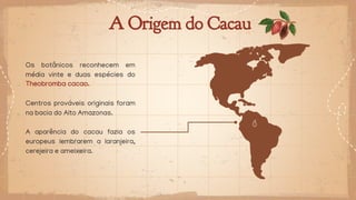 A Origem do Cacau
Os botânicos reconhecem em
média vinte e duas espécies do
Theobromba cacao.
Centros prováveis originais foram
na bacia do Alto Amazonas.
A aparência do cacau fazia os
europeus lembrarem a laranjeira,
cerejeira e ameixeira.
 