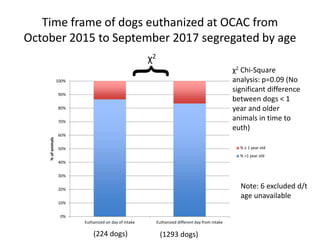 Time frame of dogs euthanized at OCAC from
October 2015 to September 2017 segregated by age
{
χ2
Note: 6 excluded d/t
age unavailable
(224 dogs) (1293 dogs)
χ2 Chi-Square
analysis: p=0.09 (No
significant difference
between dogs < 1
year and older
animals in time to
euth)
0%
10%
20%
30%
40%
50%
60%
70%
80%
90%
100%
Euthanized on day of intake Euthanized different day from intake
%ofanimals
% ≤ 1 year old
% >1 year old
 