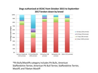 *Pit Bulls/Mastiffs category includes Pit Bulls, American
Staffordshire Terrier, American Pit Bull Terrier, Staffordshire Terrier,
Mastiff, and Tibetan Mastiff
0%
10%
20%
30%
40%
50%
60%
70%
80%
90%
100%
German Shepherds
(120 animals)
Pit Bulls/Mastiffs
(446 animals)
Chihuahua (198
animals)
Rottweilers (35
animals)
Other (723 animals)
%ofdogsineachcategory
Dogs euthanized at OCAC from October 2015 to September
2017 broken down by breed
>10 days (236 animals)
8-10 days (78 animals)
3-7 days 168 animals)
<3 days (1040 animals)
 