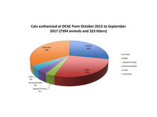 Female
28%
Male
27%
Spayed Female
3%
Neutered Male
4%
Litter
4%
Unknown
34%
Cats euthanized at OCAC from October 2015 to September
2017 (7394 animals and 323 litters)
Female
Male
Spayed Female
Neutered Male
Litter
Unknown
 