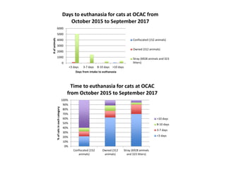0
1000
2000
3000
4000
5000
6000
<3 days 3-7 days 8-10 days >10 days
#ofanimals
Days from intake to euthanasia
Days to euthanasia for cats at OCAC from
October 2015 to September 2017
Confiscated (152 animals)
Owned (312 animals)
Stray (6928 animals and 323
litters)
0%
10%
20%
30%
40%
50%
60%
70%
80%
90%
100%
Confiscated (152
animals)
Owned (312
animals)
Stray (6928 animals
and 323 litters)
%ofcatsineachcategory
Time to euthanasia for cats at OCAC
from October 2015 to September 2017
>10 days
8-10 days
3-7 days
<3 days
 