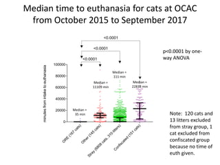 O
R
E
(167
cats)
O
ther(145
cats)
Stray
(6808
cats,310
litters)
C
onfiscated
(151
cats)
0
20000
40000
60000
80000
100000
minutesfromintaketoeuthanasia
<0.0001
<0.0001
<0.0001
Median =
35 min
Median =
11109 min
Median =
22838 min
Median =
111 min
Median time to euthanasia for cats at OCAC
from October 2015 to September 2017
p<0.0001 by one-
way ANOVA
Note: 120 cats and
13 litters excluded
from stray group, 1
cat excluded from
confiscated group
because no time of
euth given.
 