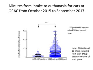 ORE (167 cats)Stray (6928 cats and 323 litters)
0
200
400
600
minutesfromintaketoeuthanasia
****
Note: 120 cats and
13 litters excluded
from stray group
because no time of
euth given
Minutes from intake to euthanasia for cats at
OCAC from October 2015 to September 2017
****p<0.0001 by two-
tailed Wilcoxen rank
sum
 