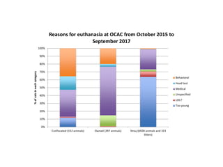 0%
10%
20%
30%
40%
50%
60%
70%
80%
90%
100%
Confiscated (152 animals) Owned (297 animals) Stray (6928 animals and 323
litters)
%ofcatsineachcategory Reasons for euthanasia at OCAC from October 2015 to
September 2017
Behavioral
Head test
Medical
Unspecified
LOC?
Too young
 