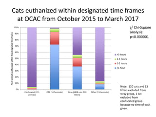 Cats euthanized within designated time frames
at OCAC from October 2015 to March 2017
χ2 Chi-Square
analysis:
p<0.000001
0%
10%
20%
30%
40%
50%
60%
70%
80%
90%
100%
Confiscated (151
animals)
ORE (167 animals) Stray (6808 cats, 310
litters)
Other (118 animals)
%ofanimalseuthanizedwithinthedesignatedtimeframe
>3 hours
2-3 hours
1-2 hours
<1 hour
Note: 120 cats and 13
litters excluded from
stray group, 1 cat
excluded from
confiscated group
because no time of euth
given.
 
