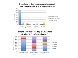 0
100
200
300
400
500
600
700
800
900
<3 days 3-6 days 7-10 days >10 days
#ofanimals
Days from intake to euthanasia
Breakdown of time to euthanasia for dogs at
OCAC from October 2015 to September 2017
Owned (991 animals)
Confiscated (112 animals)
Stray (420 animals)
0%
10%
20%
30%
40%
50%
60%
70%
80%
90%
100%
Owned (991 animals) Confiscated (112
animals)
Stray (420 animals)
%ofdogsineachcategory
Time to euthanasia for dogs at OCAC from
October 2015 to September 2017
>10 days
7-10 days
3-6 days
<3 days
 