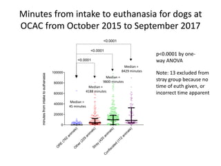 p<0.0001 by one-
way ANOVA
Note: 13 excluded from
stray group because no
time of euth given, or
incorrect time apparent
Median =
45 minutes
Median =
8429 minutes
Median =
4188 minutes
Median =
9800 minutes
Minutes from intake to euthanasia for dogs at
OCAC from October 2015 to September 2017
O
R
E
(762
anim
als)O
ther(229
anim
als)Stray
(420
anim
als)
C
onfiscated
(112
anim
als)
0
20000
40000
60000
80000
100000
minutesfromintaketoeuthanasia
<0.0001
<0.0001
<0.0001
 