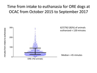 Time from intake to euthanasia for ORE dogs at
OCAC from October 2015 to September 2017
627/762 (82%) of animals
euthanized < 120 minutes
Median = 45 minutes
ORE (762 animals)
0
100
200
300
minutesfromintaketoeuthanasia
 