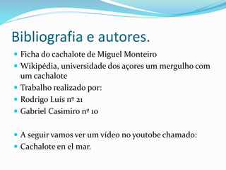 Bibliografia
 Ficha do cachalote de Miguel Monteiro
 Wikipédia, universidade dos açores um mergulho com
um cachalote
 