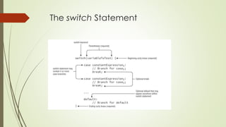 The switch Statement
 