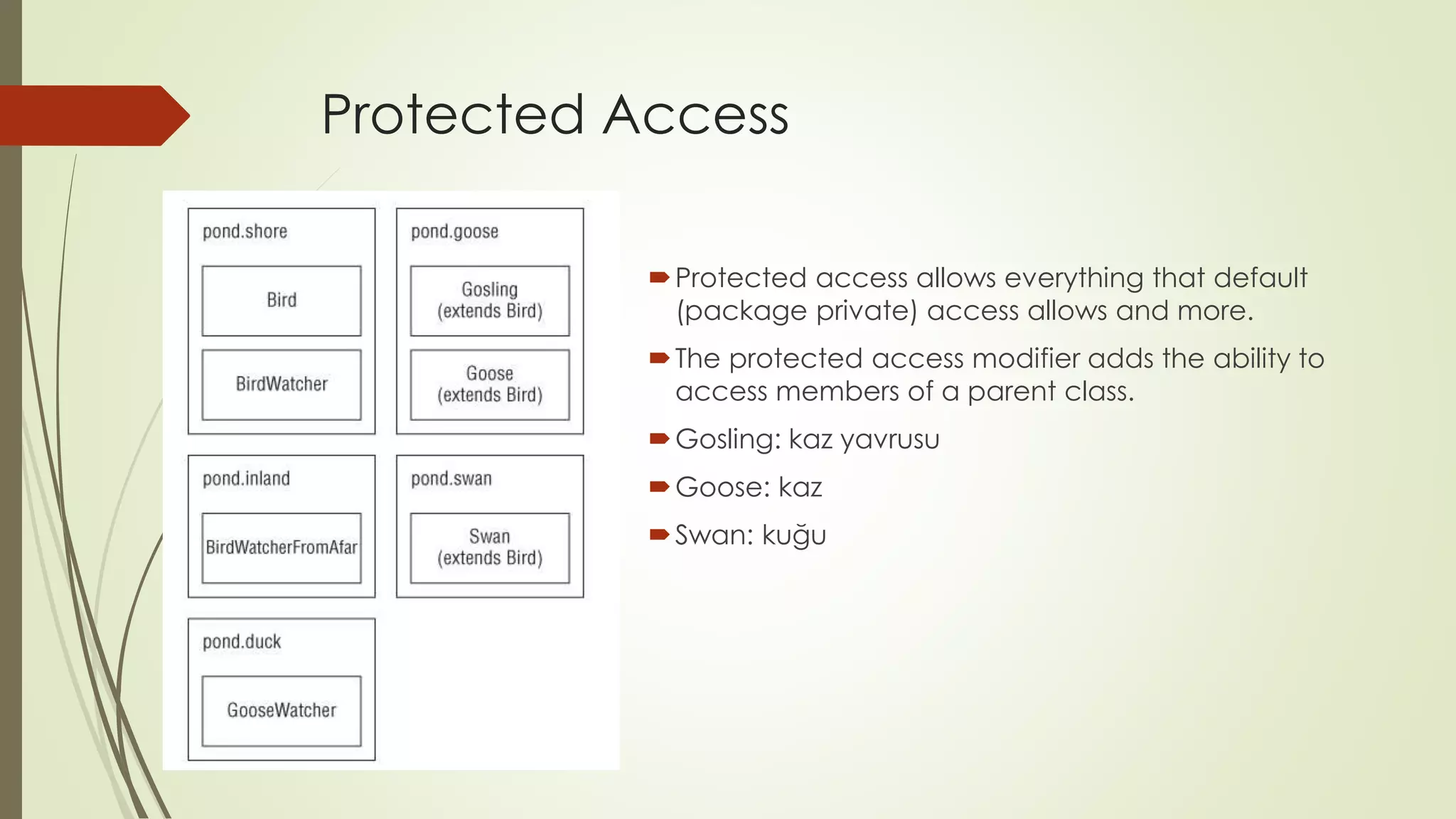 Protected Access
Protected access allows everything that default
(package private) access allows and more.
The protected access modifier adds the ability to
access members of a parent class.
Gosling: kaz yavrusu
Goose: kaz
Swan: kuğu
 