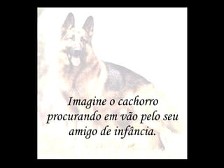 Imagine o cachorro procurando em vão pelo seu amigo de infância. 