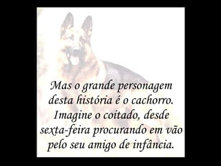Mas o grande personagem desta história é o cachorro. Imagine o coitado, desde sexta-feira procurando em vão pelo seu amigo de infância. 