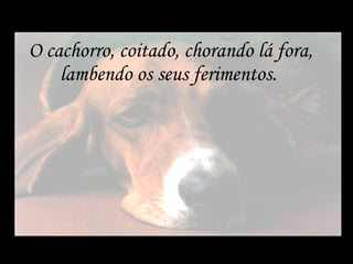 O cachorro, coitado, chorando lá fora, lambendo os seus ferimentos.  