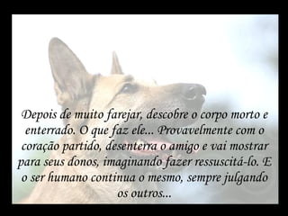 Depois de muito farejar, descobre o corpo morto e enterrado. O que faz ele... Provavelmente com o coração partido, desenterra o amigo e vai mostrar para seus donos, imaginando fazer ressuscitá-lo. E o ser humano continua o mesmo, sempre julgando os outros... 