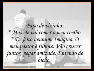 Papo de vizinho: * Mas ele vai comer o meu coelho. * De jeito nenhum. Imagina. O meu pastor é filhote. Vão crescer juntos, pegar amizade. Entendo de bicho.  