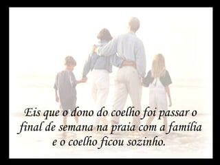 Eis que o dono do coelho foi passar o final de semana na praia com a família e o coelho ficou sozinho.  