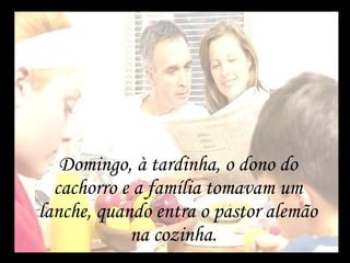 Domingo, à tardinha, o dono do cachorro e a família tomavam um lanche, quando entra o pastor alemão na cozinha.  