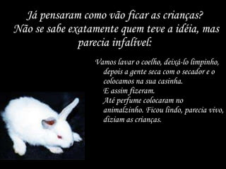 Já pensaram como vão ficar as crianças?  Não se sabe exatamente quem teve a idéia, mas parecia infalível:  Vamos lavar o coelho, deixá-lo limpinho, depois a gente seca com o secador e o colocamos na sua casinha.  E assim fizeram.  Até perfume colocaram no animalzinho. Ficou lindo, parecia vivo, diziam as crianças.  