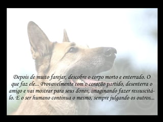 Depois de muito farejar, descobre o corpo morto e enterrado. O que faz ele... Provavelmente com o coração partido, desenterra o amigo e vai mostrar para seus donos, imaginando fazer ressuscitá-lo. E o ser humano continua o mesmo, sempre julgando os outros... 