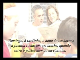 Domingo, à tardinha, o dono do cachorro e a família tomavam um lanche, quando entra o pastor alemão na cozinha.  