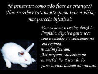 Já pensaram como vão ficar as crianças?  Não se sabe exatamente quem teve a idéia, mas parecia infalível:  Vamos lavar o coelho, deixá-lo limpinho, depois a gente seca com o secador e o colocamos na sua casinha.  E assim fizeram.  Até perfume colocaram no animalzinho. Ficou lindo, parecia vivo, diziam as crianças.  
