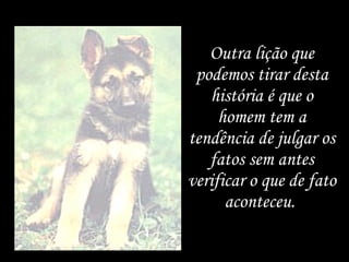 Outra lição que podemos tirar desta história é que o homem tem a tendência de julgar os fatos sem antes verificar o que de fato aconteceu.  