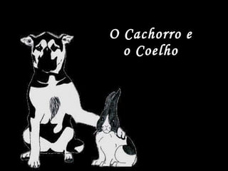 O Cachorro e  o Coelho   