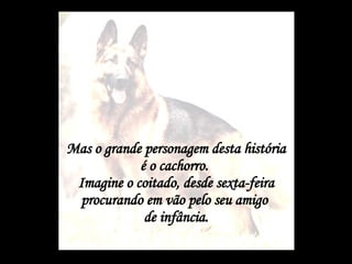 Mas o grande personagem desta história é o cachorro.  Imagine o coitado, desde sexta-feira procurando em vão pelo seu amigo  de infância. 