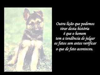 Outra lição que podemos tirar desta história  é que o homem  tem a tendência de julgar os fatos sem antes verificar o que de fato aconteceu.   