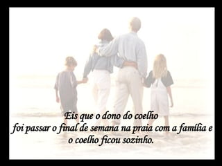 Eis que o dono do coelho  foi passar o final de semana na praia com a família e o coelho ficou sozinho.  