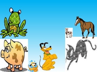 O cachorro que queria brincar