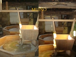 MUÍÑO
 