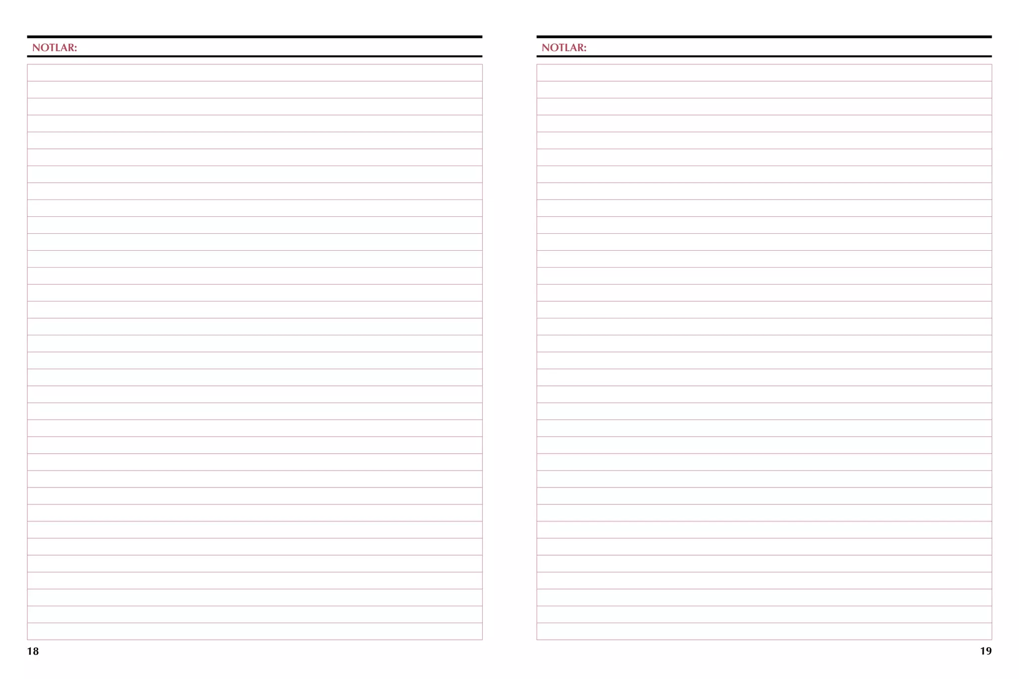 NOTLAR:   NOTLAR:




18                  19
 