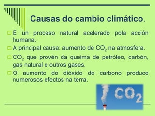 Causas do cambio climático . É un proceso natural acelerado pola acción humana. A principal causa: aumento de  CO 2  na atmosfera. CO 2  que provén da queima de petróleo, carbón, gas natural e outros gases.  O aumento do dióxido de carbono produce numerosos efectos na terra.  