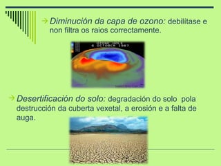 Diminución da capa de ozono:  debilítase e non filtra os raios correctamente. Desertificación do solo:  degradación do solo  pola destrucción da cuberta vexetal, a erosión e a falta de auga. 