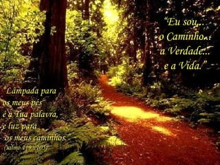 “ Lâmpada para  os meus pés  é a Tua palavra,  e luz para os meus caminhos.” (salmo 119 v105) “ Eu sou...  o Caminho... a Verdade...  e a Vida.” 