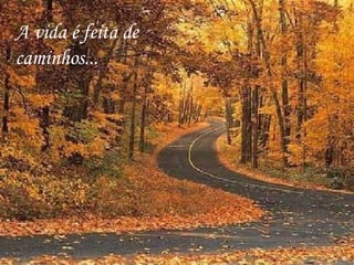 A vida é feita de caminhos... 