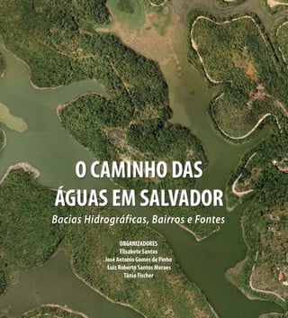 Bacias Hidrográficas, Bairros e Fontes
ORGANIZADORES
Elisabete Santos
José Antonio Gomes de Pinho
Luiz Roberto Santos Moraes
Tânia Fischer
 