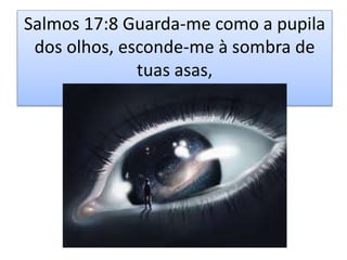 Salmos 17:8 Guarda-me como a pupila
dos olhos, esconde-me à sombra de
tuas asas,
 