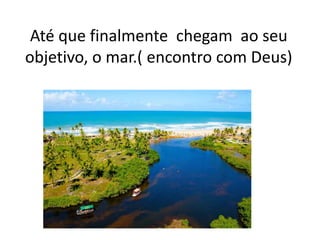 Até que finalmente chegam ao seu
objetivo, o mar.( encontro com Deus)
 