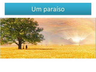 Um paraíso
 