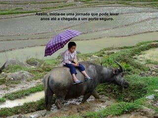 Assim, inicia-se uma jornada que pode levar
  anos até a chegada a um porto seguro.
 