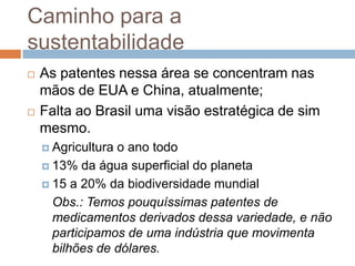 Caminho para a
sustentabilidade
   As patentes nessa área se concentram nas
    mãos de EUA e China, atualmente;
   Falta ao Brasil uma visão estratégica de sim
    mesmo.
     Agriculturao ano todo
     13% da água superficial do planeta

     15 a 20% da biodiversidade mundial

      Obs.: Temos pouquíssimas patentes de
      medicamentos derivados dessa variedade, e não
      participamos de uma indústria que movimenta
      bilhões de dólares.
 