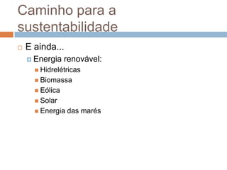 Caminho para a
sustentabilidade
   E ainda...
     Energia    renovável:
       Hidrelétricas
       Biomassa
       Eólica
       Solar
       Energia   das marés
 