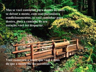 Mas se você caminhar para dentro de você,
se deixar a mente, com suas paranóias e
condicionamentos; se você caminhar para
dentro, para o caminho do seu
coração, você irá despertar.
Você começará a sentir que você é mais
do que a mente lhe faz acreditar.
 